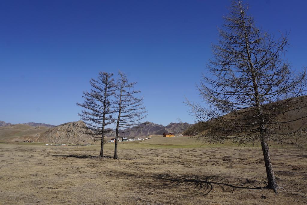 מלון Nalayh My Mongolia Eco Ger Camp מראה חיצוני תמונה
