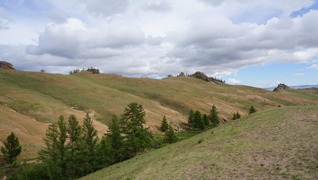 מלון Nalayh My Mongolia Eco Ger Camp מראה חיצוני תמונה